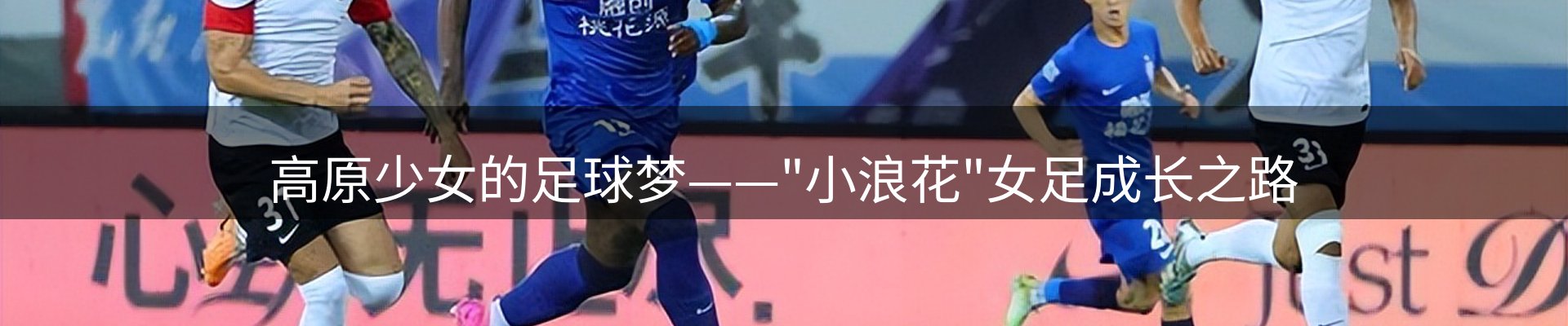 每日精选